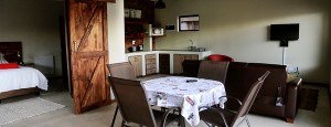 Read more about the article Luxury Villa 1 & 2